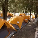 The Sea Turtle Camp Camping *