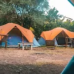 The Sea Turtle Camp Camping