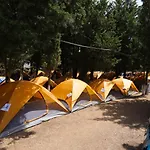 The Sea Turtle Camp *
