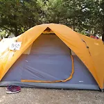 The Sea Turtle Camp