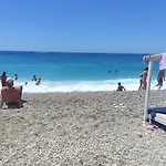 The Sea Turtle Camp *