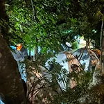 Camping The Sea Turtle Camp