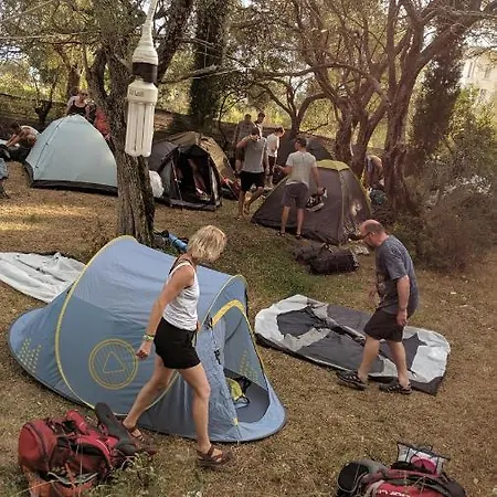 The Sea Turtle Camp *