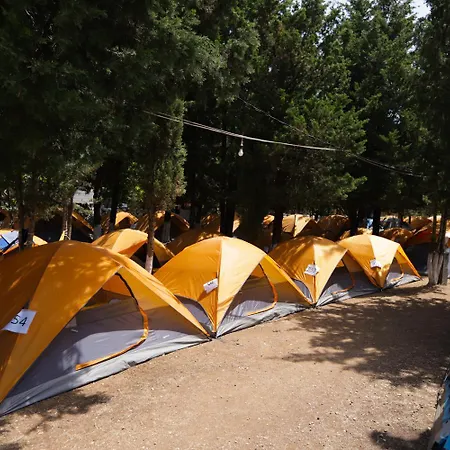 The Sea Turtle Camp Campsite *