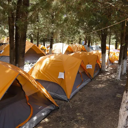 The Sea Turtle Camp Campsite