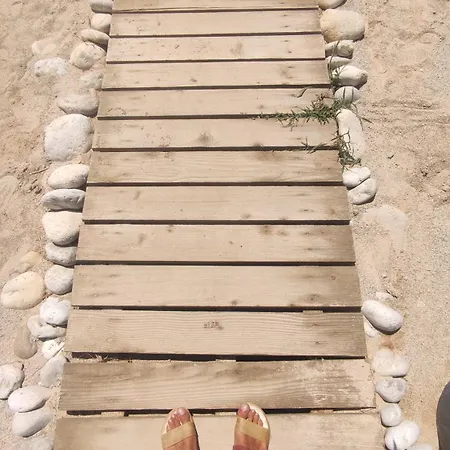 The Sea Turtle Camp مكان تخييم ديرمي