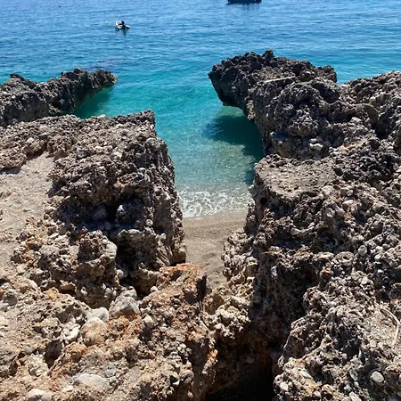 The Sea Turtle Camp