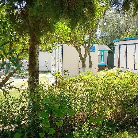The Sea Turtle Camp Campsite