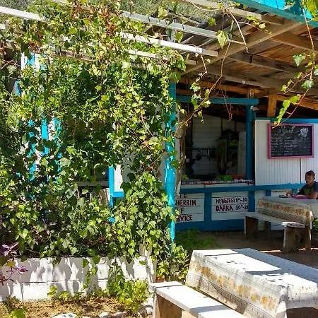 مكان تخييم The Sea Turtle Camp *