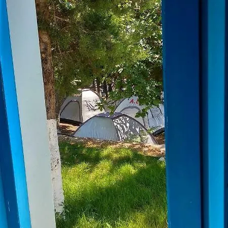 The Sea Turtle Camp Campsite