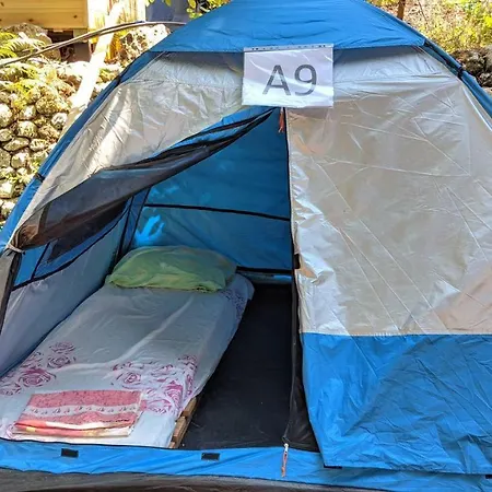The Sea Turtle Camp Campsite *