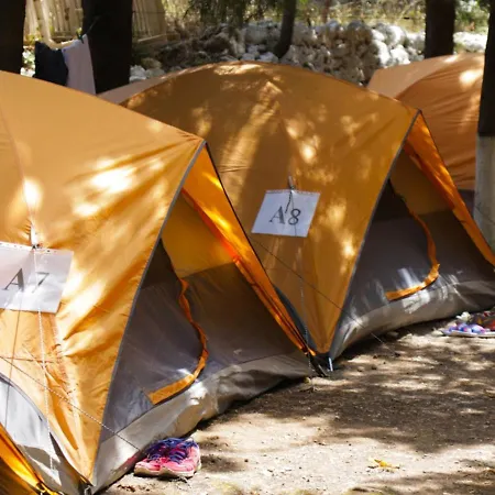 The Sea Turtle Camp Dhërmi