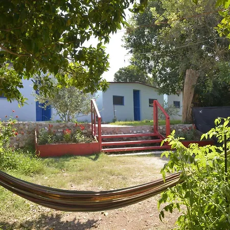 The Sea Turtle Camp דרמי
