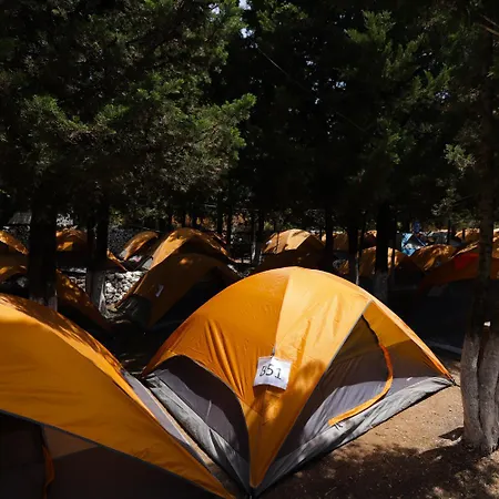 The Sea Turtle Camp Campingplatz Dhërmi