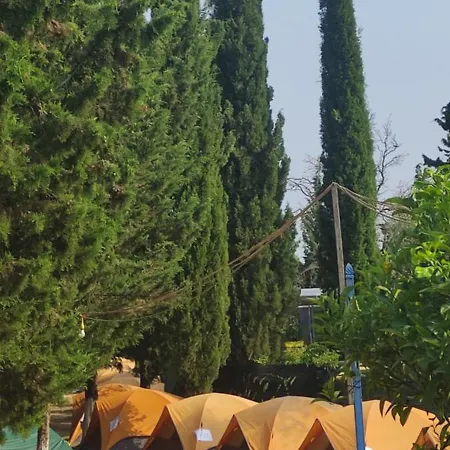 אתר קמפינג The Sea Turtle Camp *