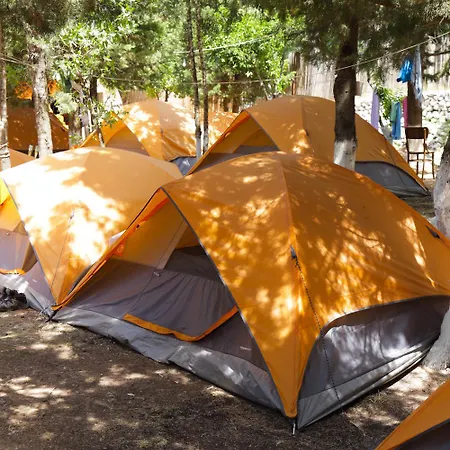 The Sea Turtle Camp דרמי