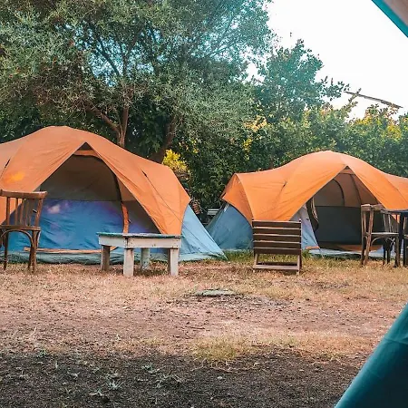 The Sea Turtle Camp אתר קמפינג