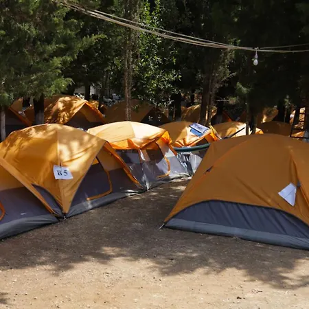 The Sea Turtle Camp * Dhërmi