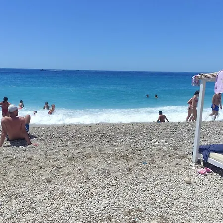 The Sea Turtle Camp *