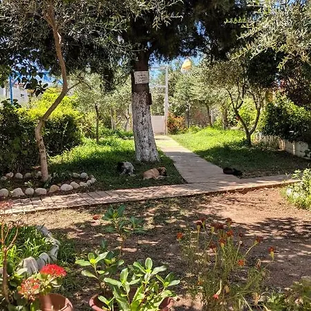 Campingplatz The Sea Turtle Camp *