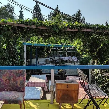 The Sea Turtle Camp *