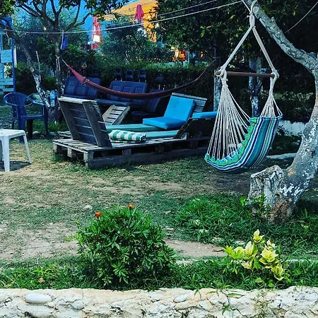 The Sea Turtle Camp